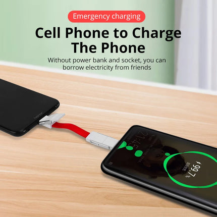 Charging Cable Keychain