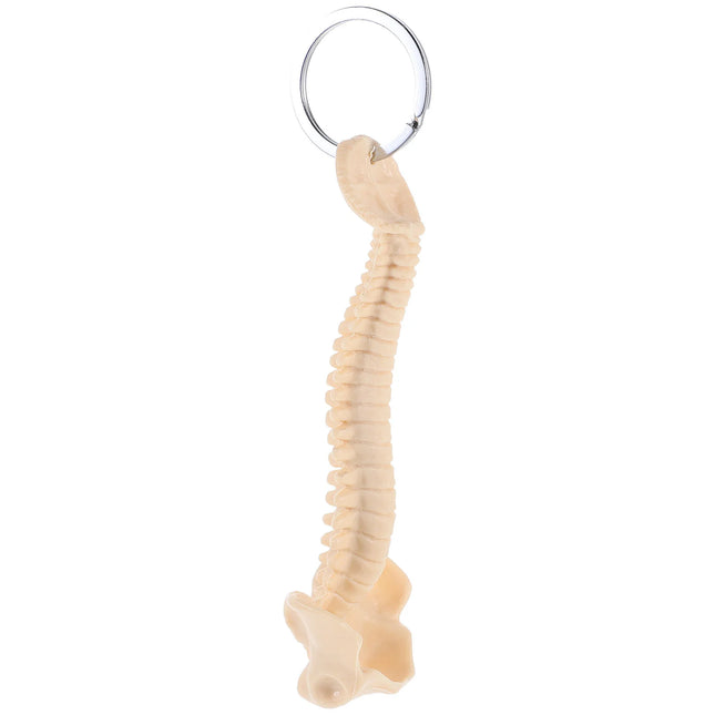 Spine Keychain