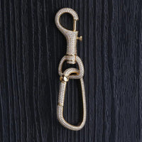 Iced Out Carabiner Keychain