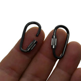 Mini Locking Carabiner Keychain