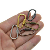 Mini Locking Carabiner Keychain