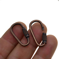 Mini Locking Carabiner Keychain