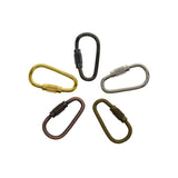 Mini Locking Carabiner Keychain