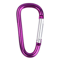 Purple Carabiner Keychain